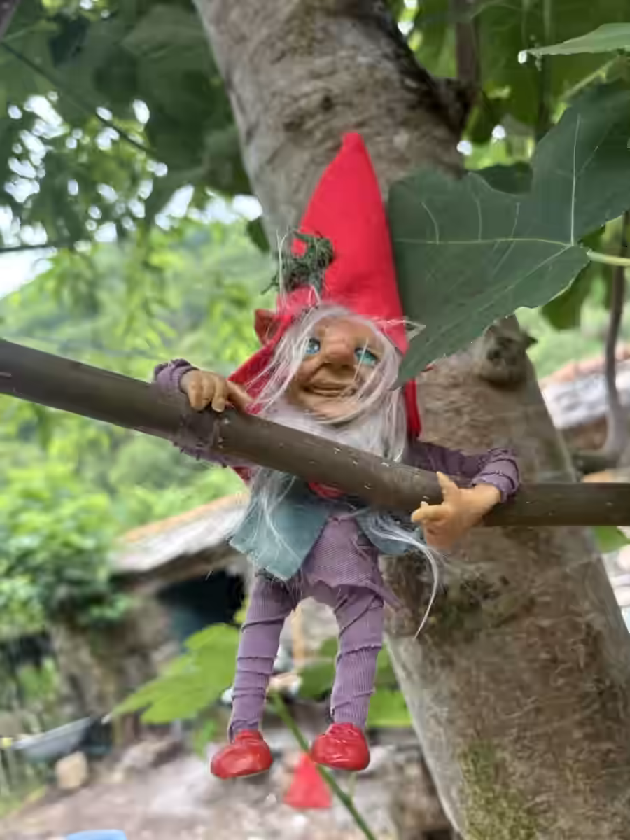 Imagen de Explorador de Selvas Imaginarias