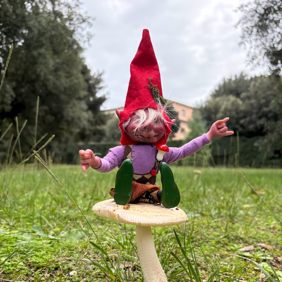 Magikito Encima Seta