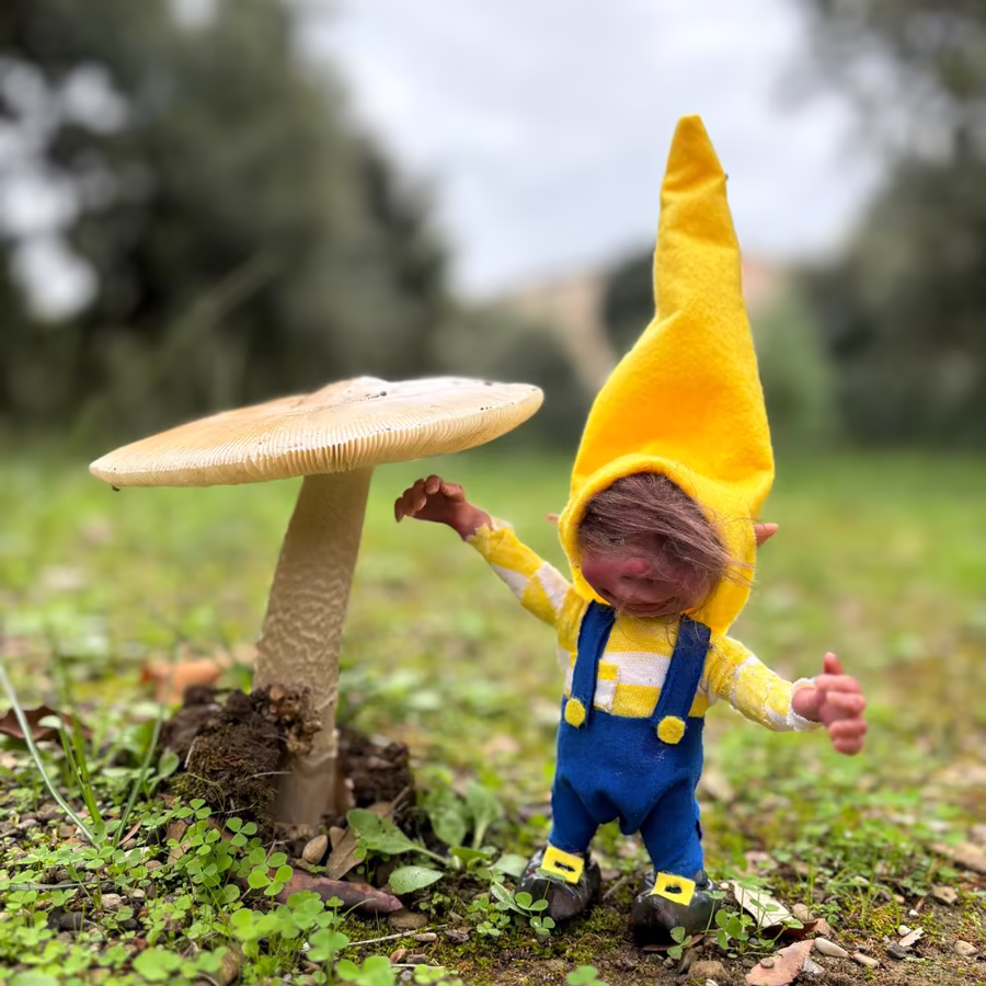 Magikito Junto A Seta