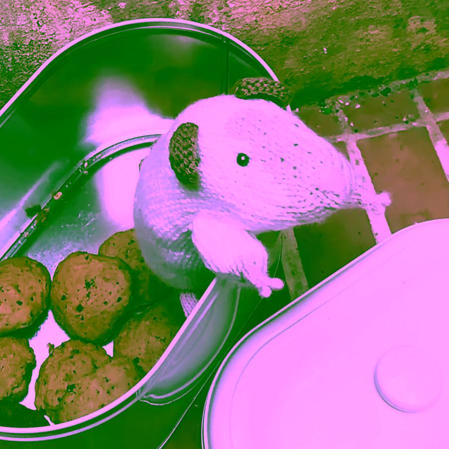 Ratoncito en caja de galletas