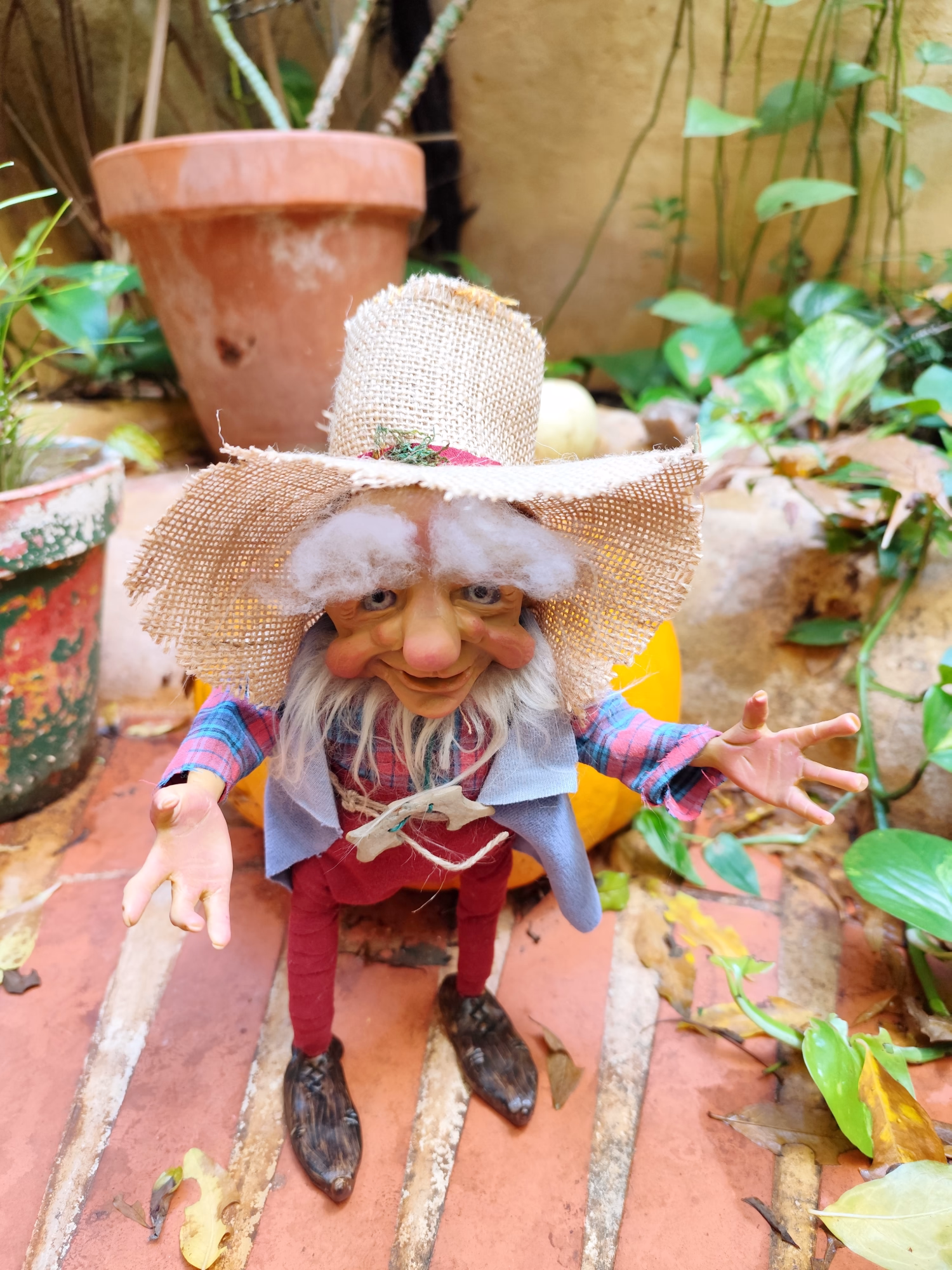 Imagen de Pastor de Niebla Traviesa