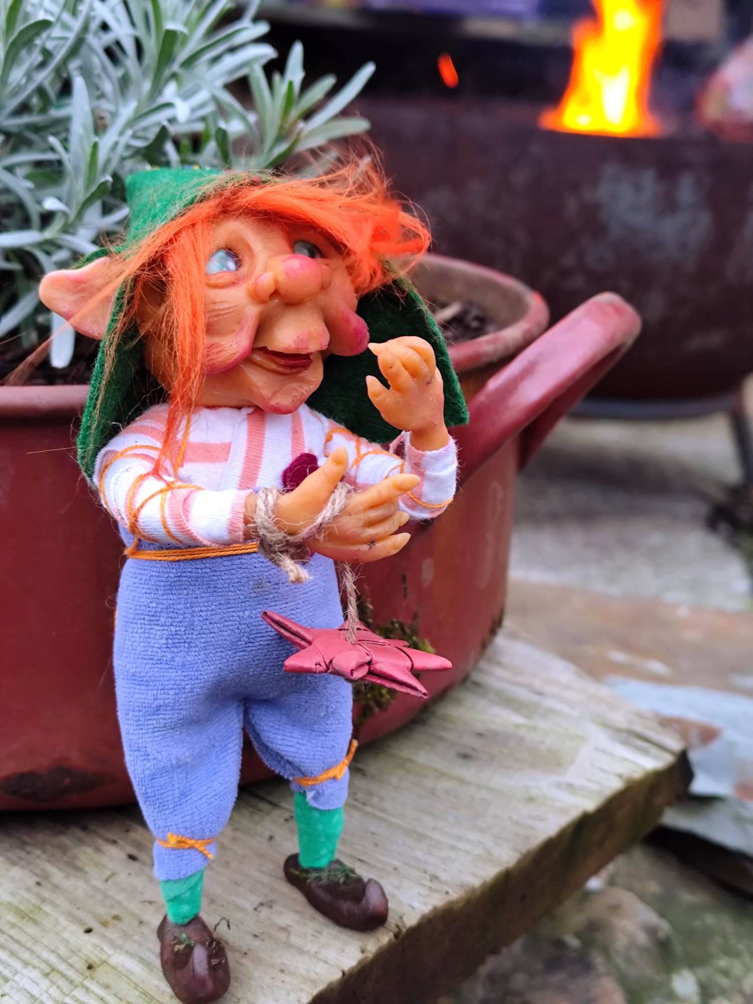 Imagen de Repartidor de Estrellas Tímidas