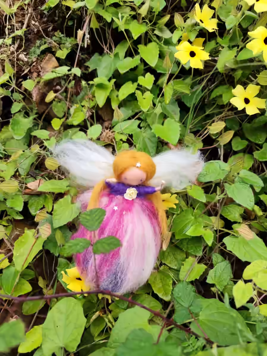 Image de Pousse Bondissante de Rosée