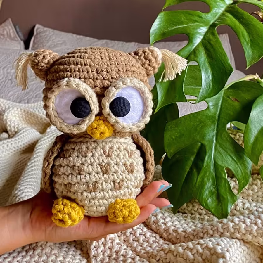 Adventurous Owls