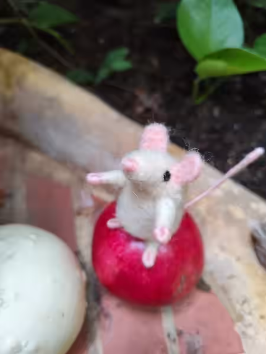 Explorer Mice