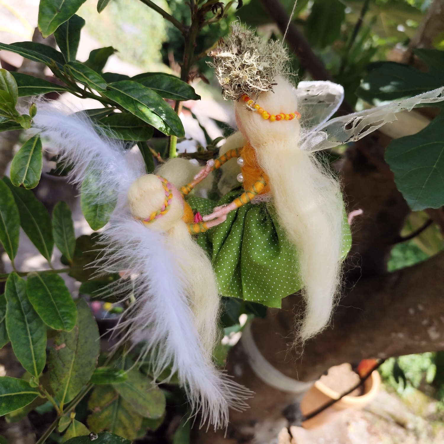 Image of Teacher of First Flutters