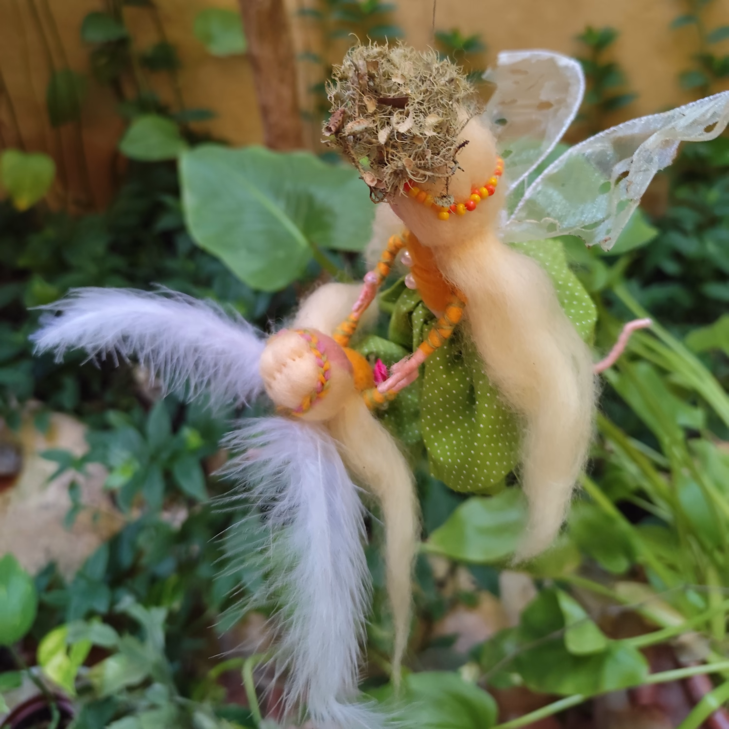 Image of Teacher of First Flutters