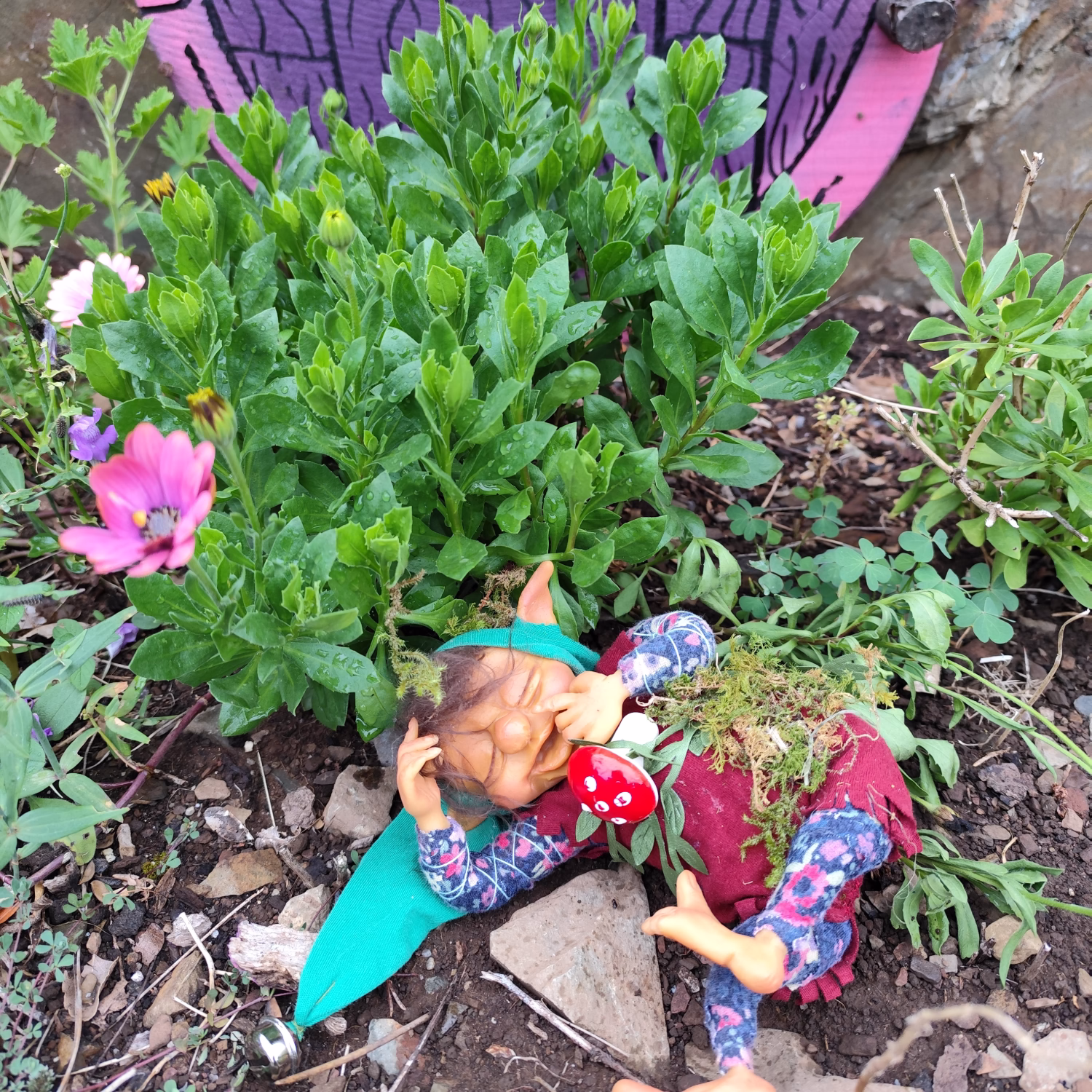 Image of Sower of Surprise Naps