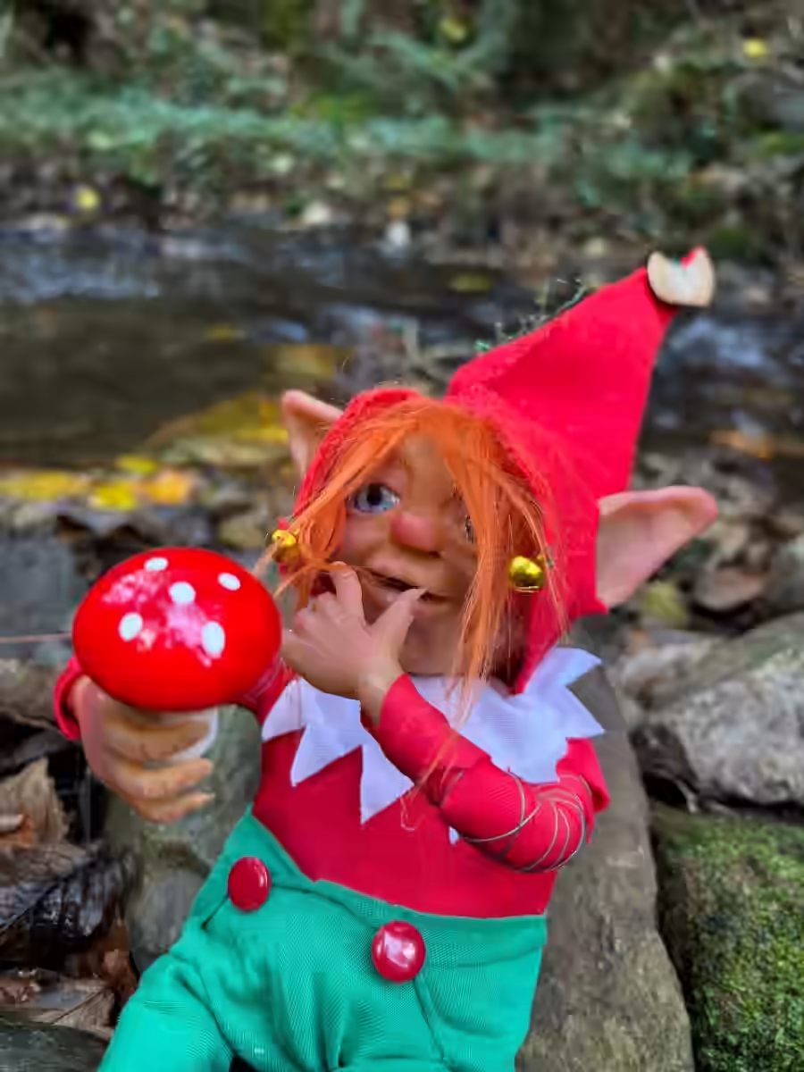 Image of Christmas Dream Gatherer