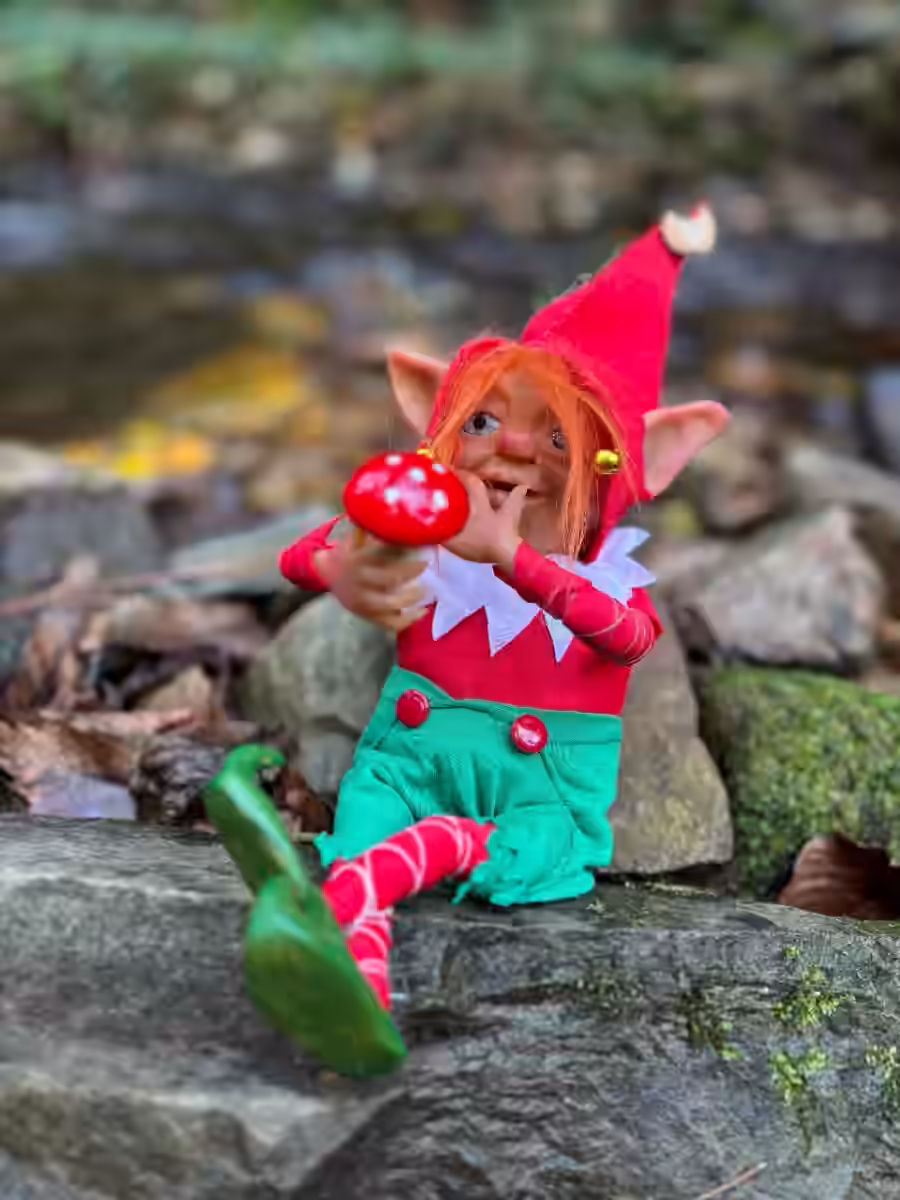 Image of Christmas Dream Gatherer