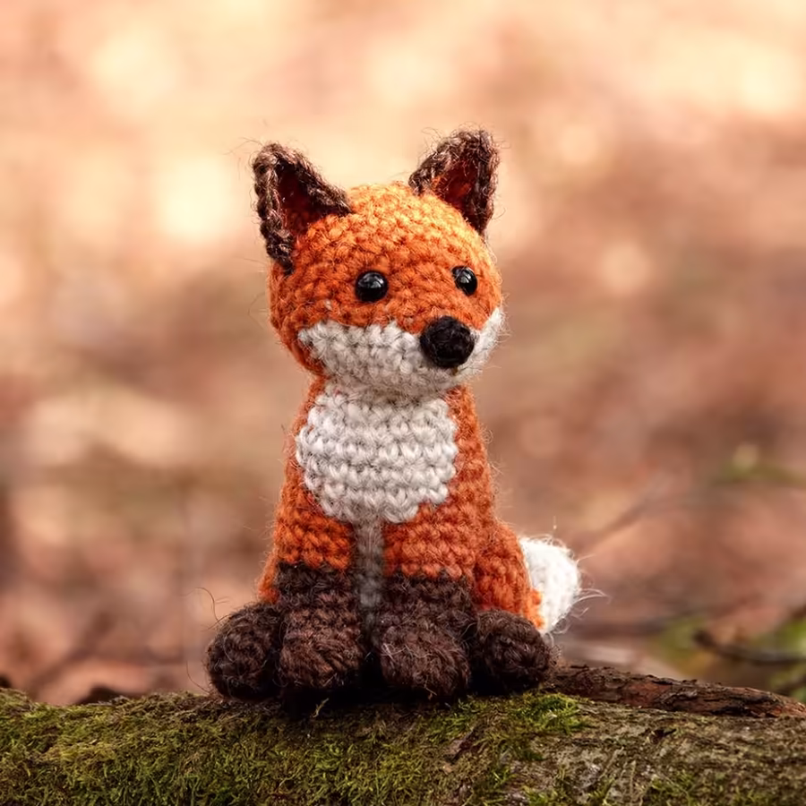 Know-It-All Foxes
